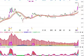 岩山科技：无需再多讲，主力已彻底