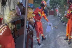 民房内惊现近一米长的乌梢蛇，村民慌张报警，消防紧急出动捕捉