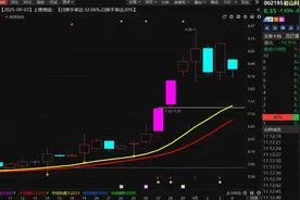 岩山科技闪崩跌停，游资大撤退or潜伏新局？