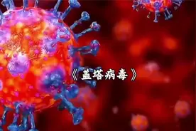 坏消息，国内惊现“盖塔病毒”，爱吃猪肉的朋友一定要注意了！！