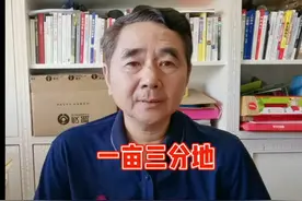 “一亩三分地”的来历