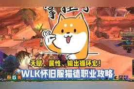 WLK怀旧服猫德职业攻略，天赋、属性、输出循环宏！