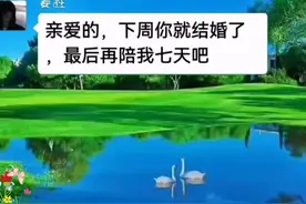 他的隐晦爱意