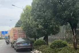 惊呆！云南一男子骑鸵鸟上路，速度竟比电动车还快视频封面