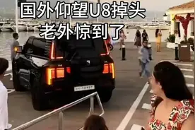 国外惊现U8掉头，老外目瞪口呆！