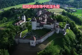 如何识别市场中的龙头股 今天我们来聊下