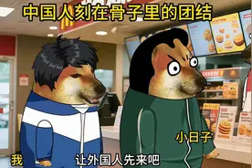 中国人刻在骨子里的团结#猫meme回家计划 #内容启发分享计划