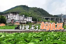 电信AI数字人，会说话的“智能小管家”，让数字乡村更有温度！