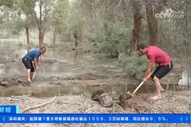 新疆图木舒克：引水促苗 助力胡杨落种萌生视频封面