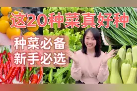 20种新手友好蔬菜！附独家种植技巧，看完秒变种菜大神视频封面