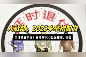 人社部：2025多举措助力灵活就业参保！每月发800社保补贴，哪里视频封面