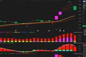 卧龙电驱：高位回调，是要见顶了吗？看完豁然开朗