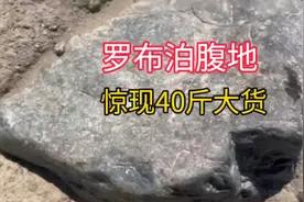 罗布泊惊现40斤大货，皇天不负有心人，无人区每天都在创造奇迹