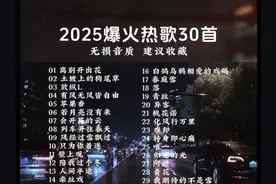 2025年必听30首爆火热歌，无损音质，建议收藏！