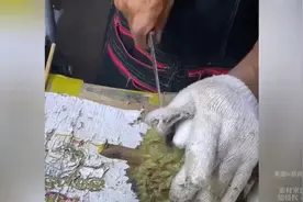 男子在泰国100块买榴莲 本以为被坑了 结果越看越不对劲😂视频封面