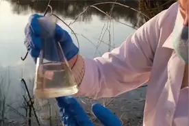 比正常细菌大10000倍，科学家发现最大细菌，咋长得那么大？