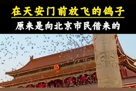 原来天安门前放飞的几万只鸽子，都是借来的