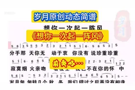 《想你一次起一阵风》动态简谱。