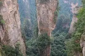 游武陵源景区，张家界森林公园，杨家界天子山，门票索道半价