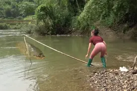 失传的竹网捕鱼绝技！女孩河心撒网一网打尽，半小时鱼获装满竹篓视频封面