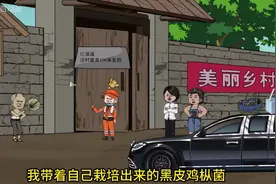 黑皮鸡枞菌的神秘种植大揭秘！