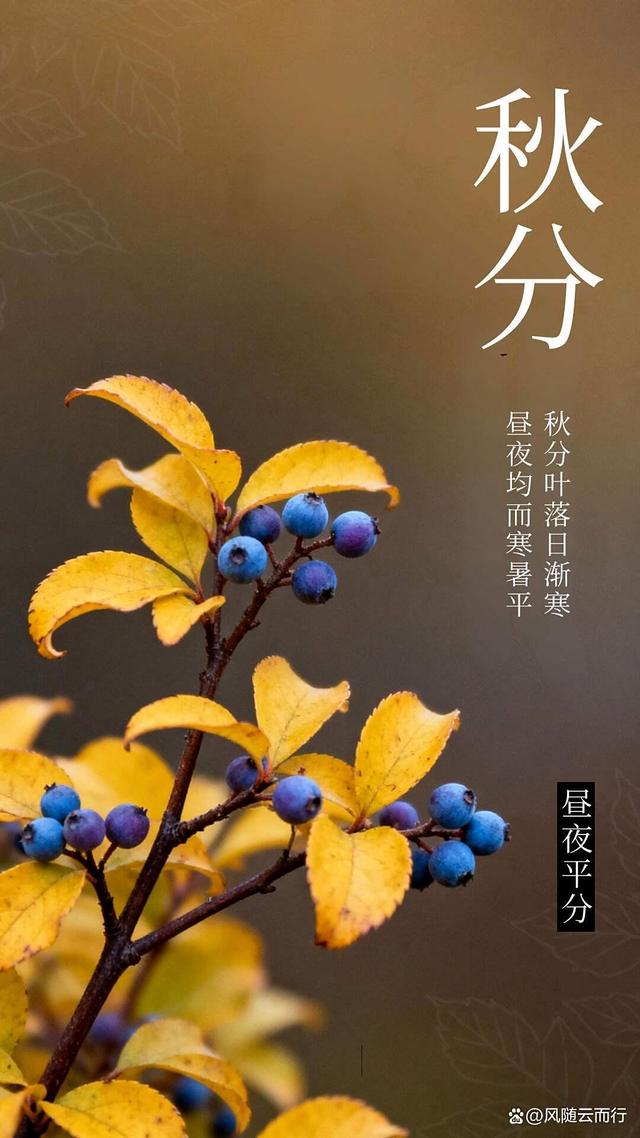 12条秋分·藏在时光里的秋日絮语