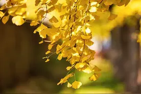 永远别和亲人较劲，无论是父母、伴侣、还是子女图片