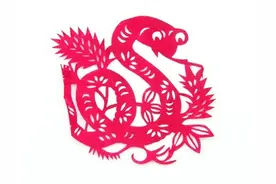 传统文化之生肖蛇该如何取名图片