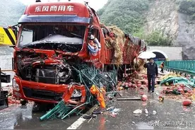 【以案释法】零负载牵引车也能投车上货物险？法院这样判图片