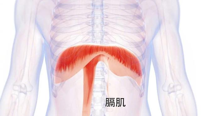 学会用「肚脐呼吸」，3个好处不请自来