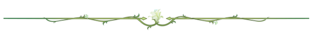 咸鱼之王丨疯狂的赛车活动细节！亲身踩坑经验分享！