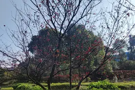 汽车爬坡时无力原来是这个出了问题 一般来说电力消费...图片