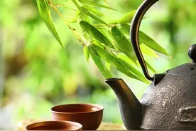 人民日报有段文摘：人到了一定年龄就会明白，留得住的，不需用力图片