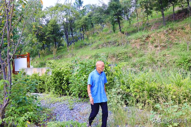 一座县城的时光褶皱—81岁父亲游隆回