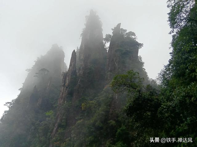 2025湖南行:仙气飘飘~莽山五指峰