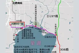 从合肥市区到长临河古镇、巢湖中庙景区公交线路图，非308路不可图片