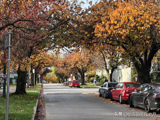 温哥华游记（四）
