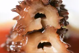 分享一个补肾益精，壮阳固本恢复身体活力图片