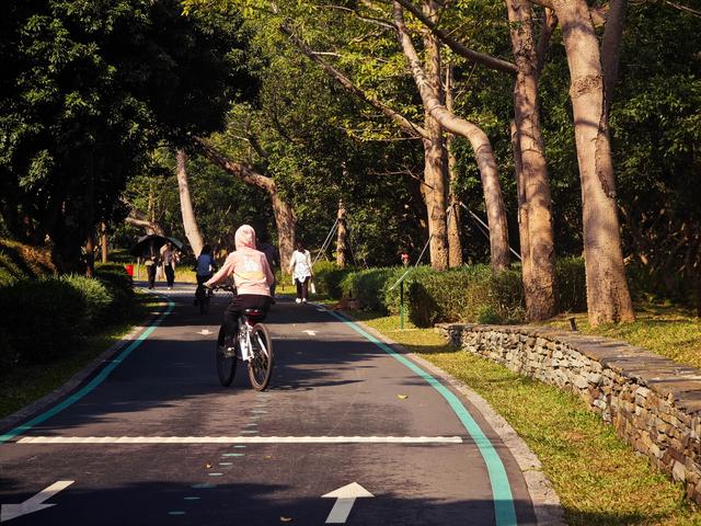 西丽湖绿道骑行随拍