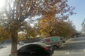 给爱车选车牌号时，选一个什么样的号，才算好号？图片