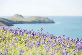 朗声念诗文|7件美好的小事图片