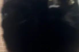 我老公说我头发太长了，说把它剪了，我就答应了，本来...图片