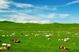 很多人不知道进到看守所夜里是要站岗的，24小时轮流制图片