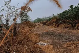 一位朋友，也在头条写作，但昨天突然被封号图片