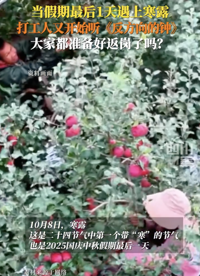当假期最后1天遇上寒露