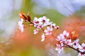 俗话说，“三更莫贪色，半夜不恋食”，是什么意思？暗含玄机？图片