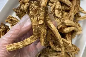 瘀血严重，舌头暗紫，舌下青筋异常弯曲？这个方法帮你...图片
