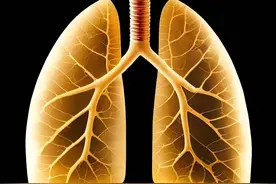 金灿荣连戳有些人的肺管子，嘿嘿，这些人是否要为此殉道图片