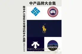 除了中产三宝，中产品牌也不容错过图片