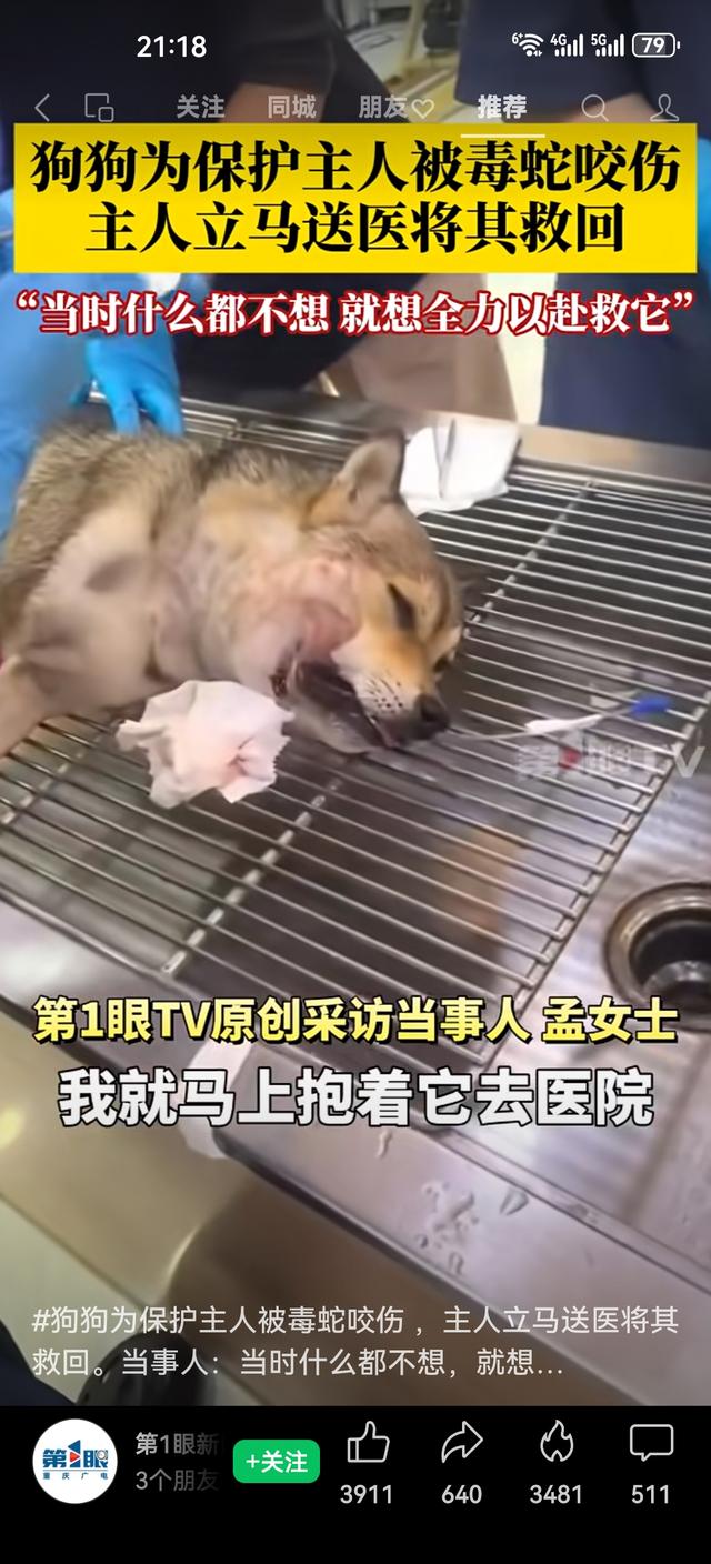 你会为救宠物拼尽全力吗